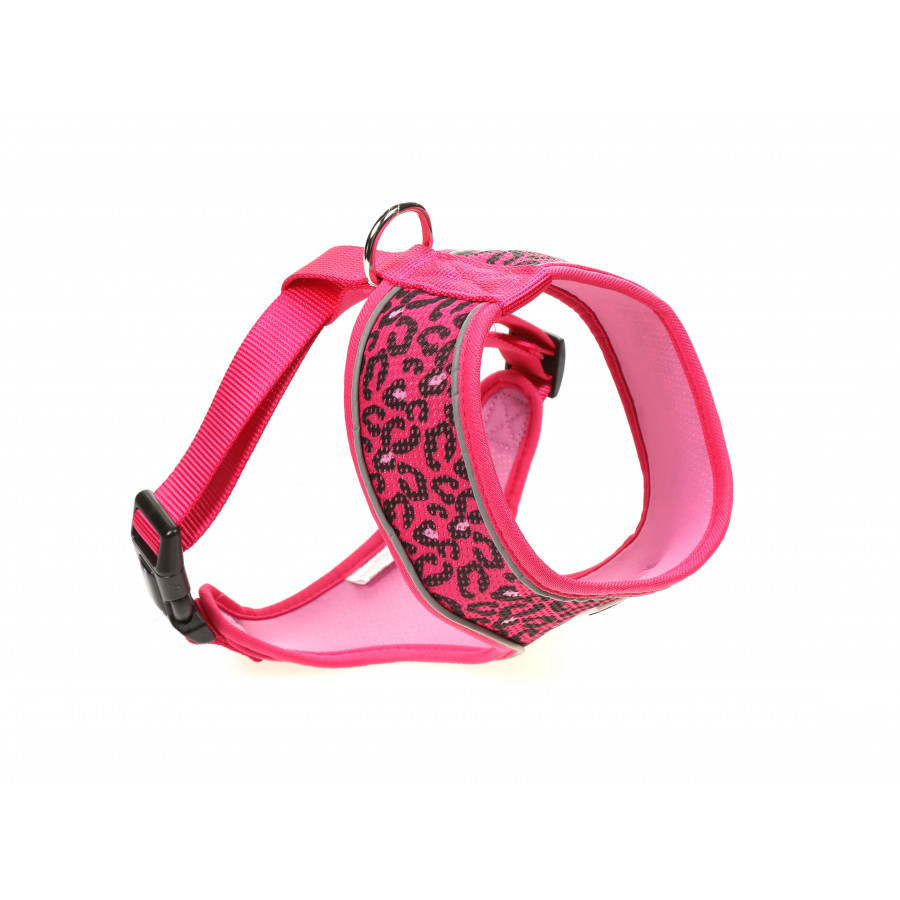 bright-leopard bright-leopard