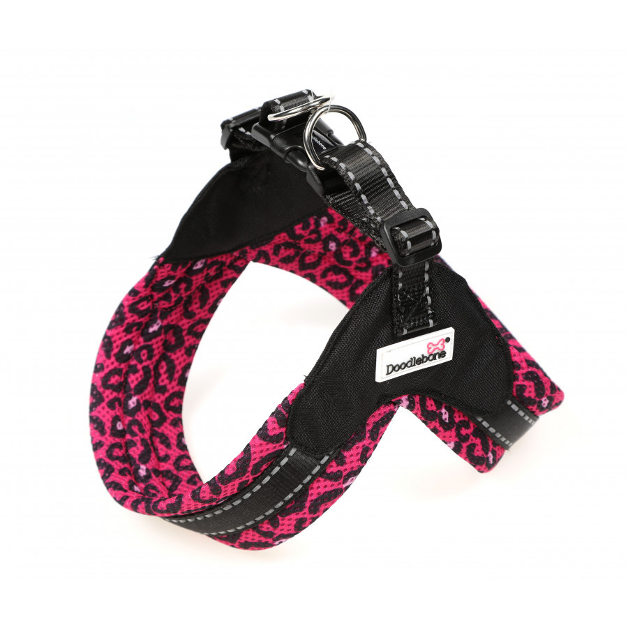 boomerang-bright-leopard boomerang-bright-leopard