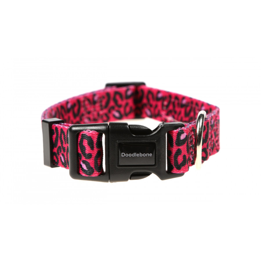 bright-leopard bright-leopard