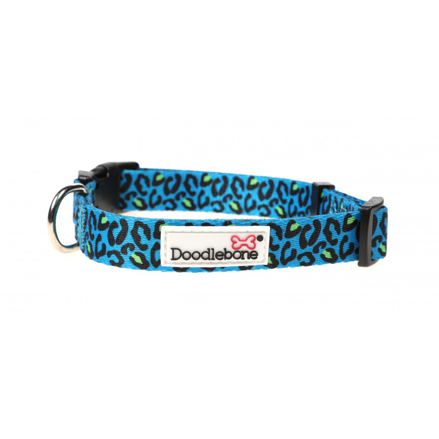 night-leopard night-leopard