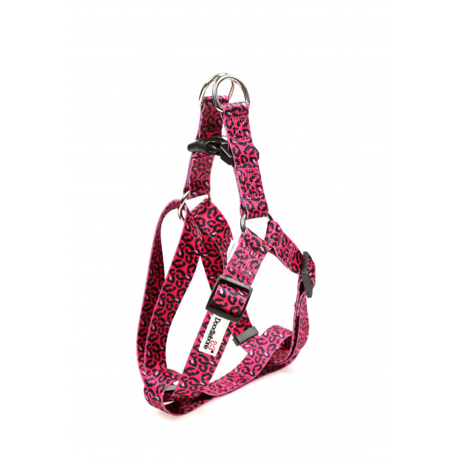 bright-leopard bright-leopard