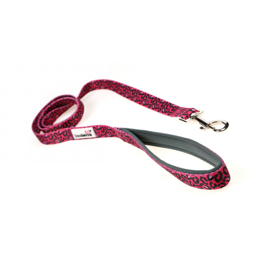 bright-leopard bright-leopard