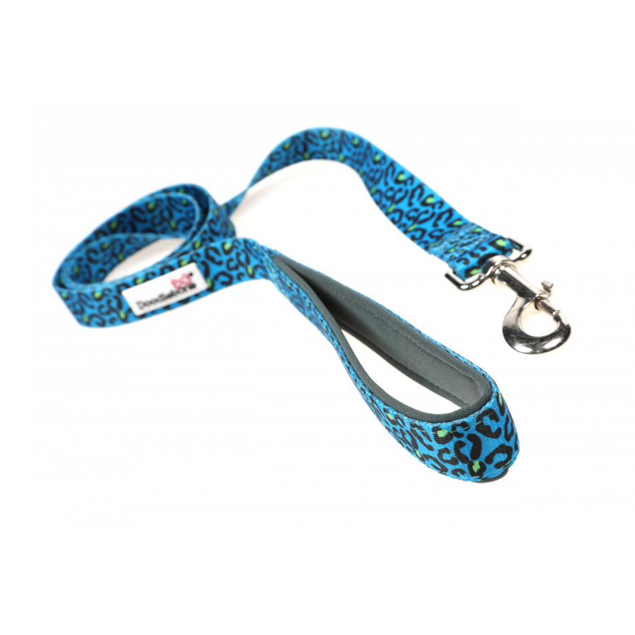 night-leopard night-leopard